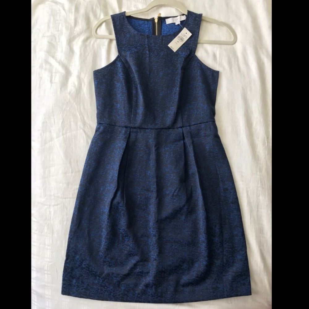 Navy Blue Ann Taylor Dress